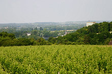 vallée-montrichard